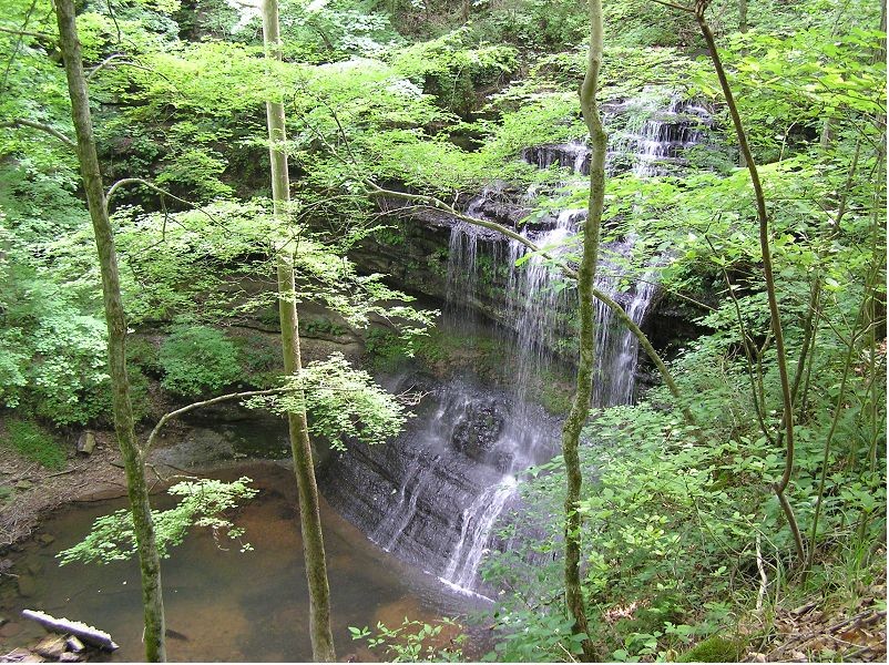 Stillhouse Hollow Falls