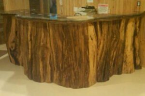 Tree Trunk Bar at Lexington Vineyard & Winery
